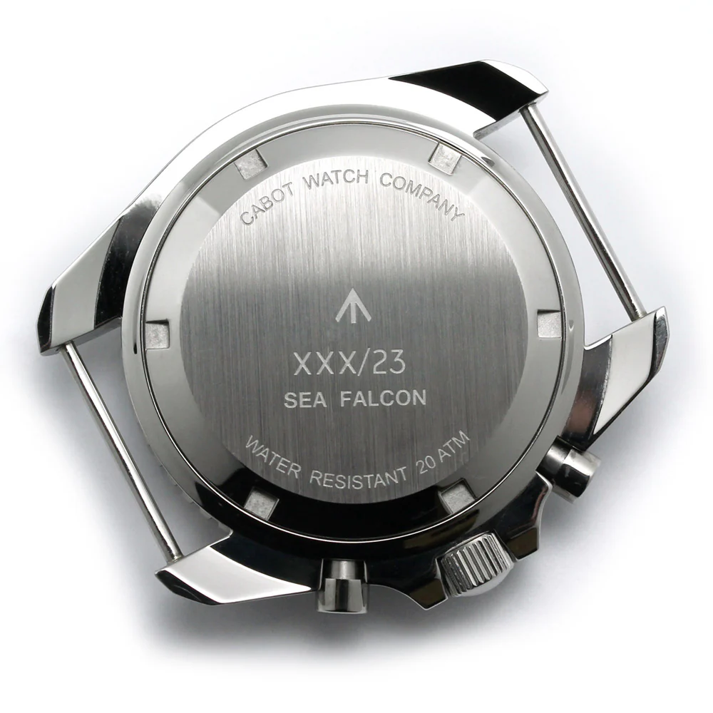 Cabot Sea Falcon Watch - Image 8